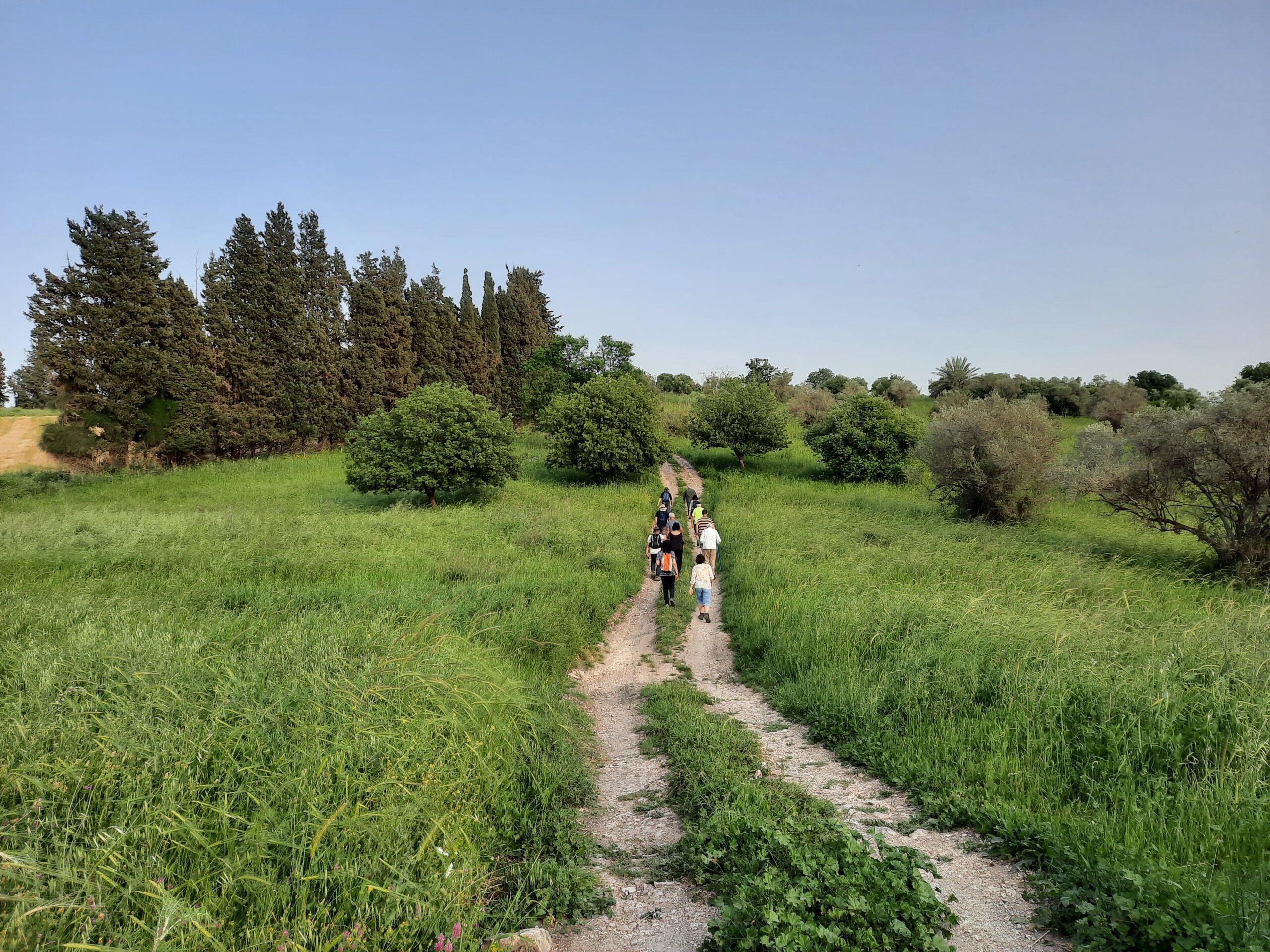 עין נילי10