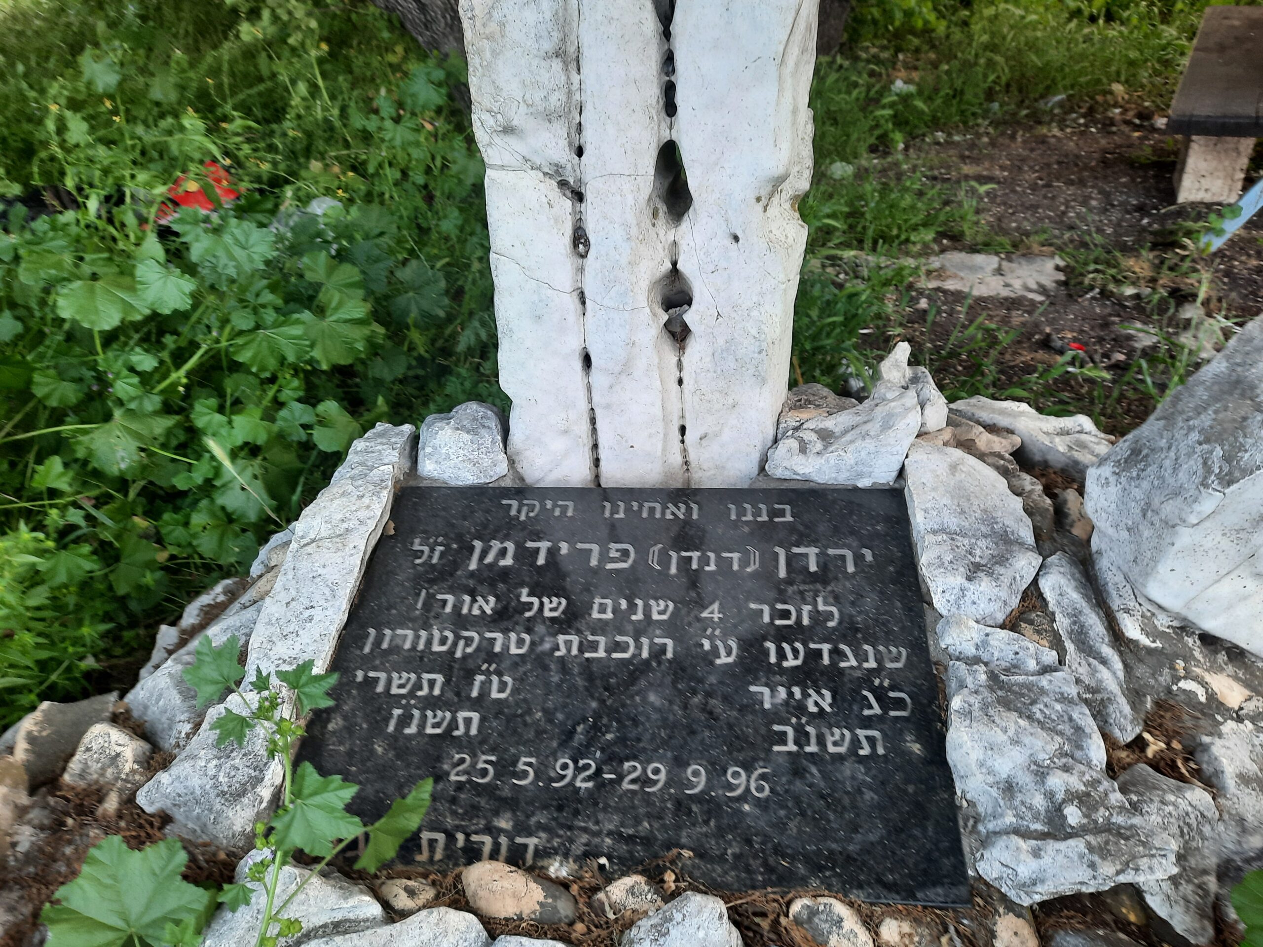 עין נילי12