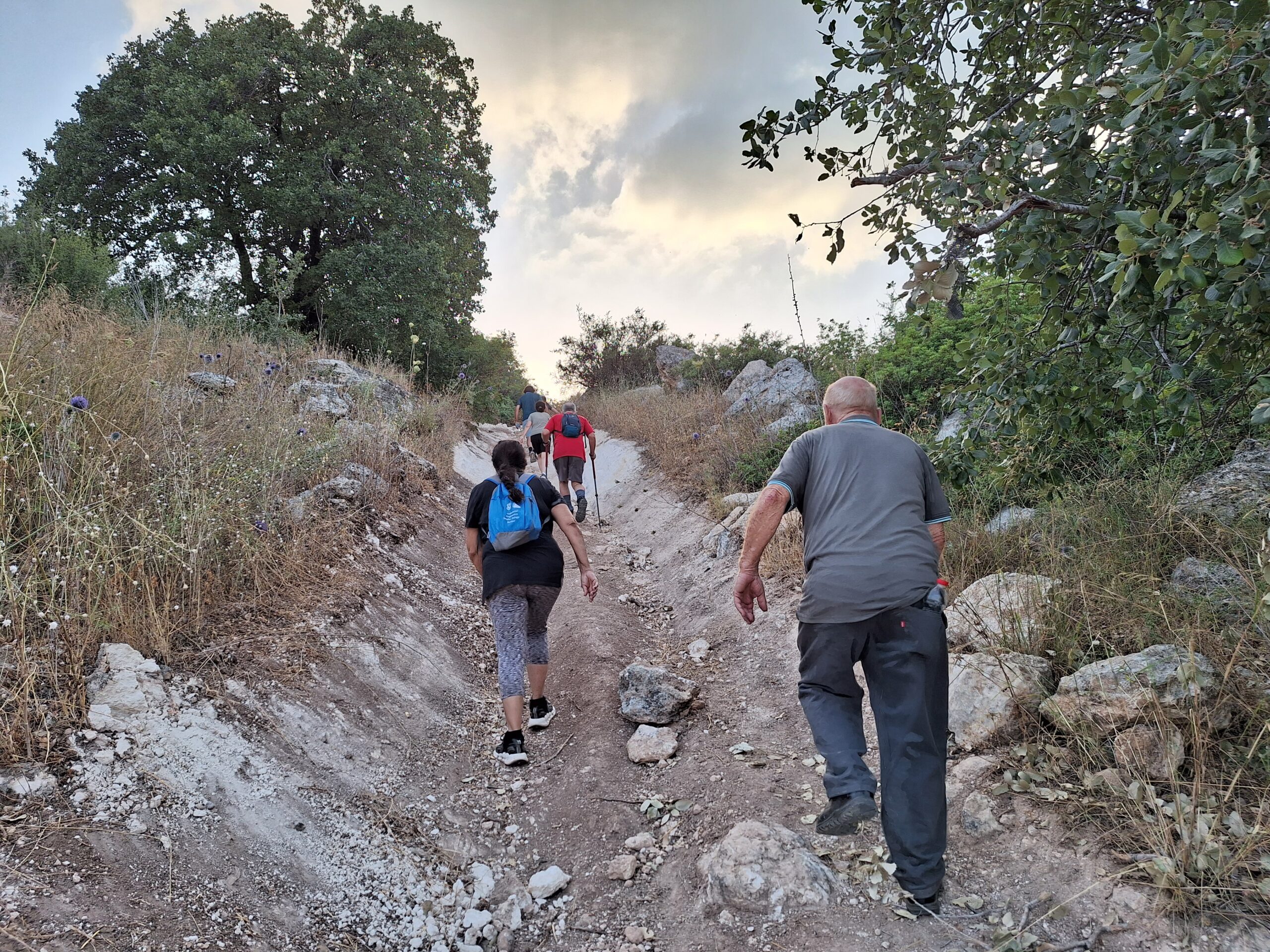 קו שביתת הנשק13.jpeg